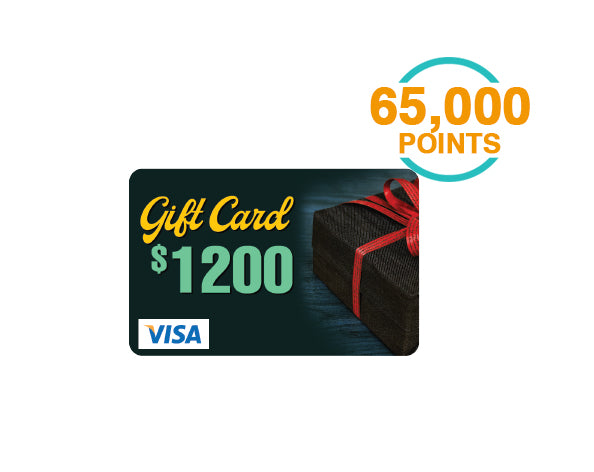 $1200 Visa Gift Card