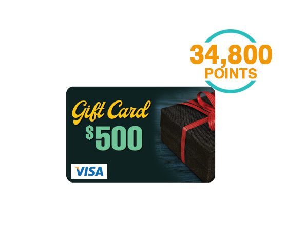 $500 Visa Gift Card